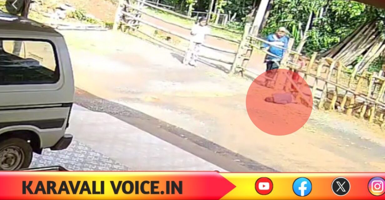 ಮಕ್ಕಳ ಕುಚೇಷ್ಟೆಯಿಂದ ಏರ್ ಗನ್ ಫಯರ್: ಬಾಲಕ ಸಾವು