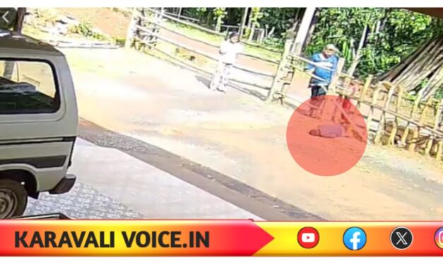 ಮಕ್ಕಳ ಕುಚೇಷ್ಟೆಯಿಂದ ಏರ್ ಗನ್ ಫಯರ್: ಬಾಲಕ ಸಾವು