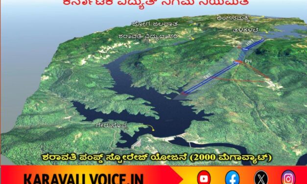 ಶರಾವತಿ ಪಂಪ್‌ ಸ್ಟೋರೇಜ್: ಸ್ಥಳ ಪರಿಶೀಲನೆ ವರದಿಗೆ ವನ್ಯಜೀವಿ ಮಂಡಳಿ ನಿರ್ದೇಶನ