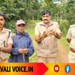 ಕೃತಕ ಕಾವು: ಕೆರೆ ಹಾವಿನ 67 ಮೊಟ್ಟೆಗಳಿಂದ ಹೊರಬಂದ ಮರಿಗಳು