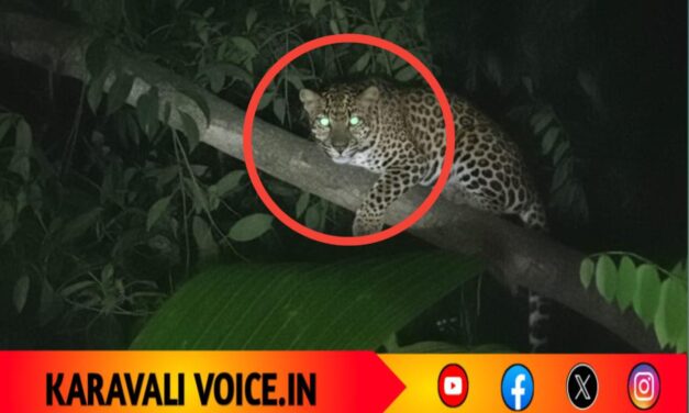 ಮನೆಯ ಬಳಿಯೇ ಹೊಂಚು ಹಾಕಿ ಕೂತ ಚಿರತೆ: ಗ್ರಾಮಸ್ಥರಲ್ಲಿ ಆತಂಕ