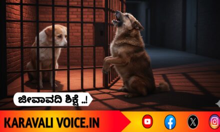 ಬೀದಿ ನಾಯಿಗಳಿಗೂ ಜೀವಾವಧಿ ಶಿಕ್ಷೆ!