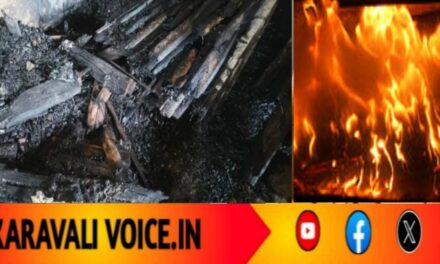 ಗೋರನಮನೆಯಲ್ಲಿ ಬೆಂಕಿ ಆರ್ಭಟ: ಗೀರ್ ಕರು ಬಲಿ!