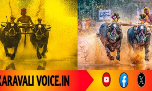 ಕರಾವಳಿಯ ಹೆಮ್ಮೆಗೆ ಸರ್ಕಾರಿ ಬಲ: ಕಂಬಳಕ್ಕೆ ರಾಜ್ಯ ಸರ್ಕಾರದ ಅಧಿಕೃತ ಮಾನ್ಯತೆ