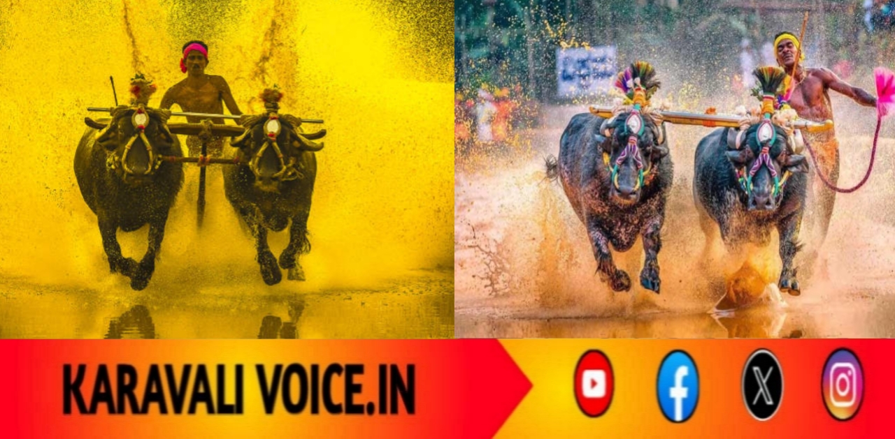 ಕರಾವಳಿಯ ಹೆಮ್ಮೆಗೆ ಸರ್ಕಾರಿ ಬಲ: ಕಂಬಳಕ್ಕೆ ರಾಜ್ಯ ಸರ್ಕಾರದ ಅಧಿಕೃತ ಮಾನ್ಯತೆ
