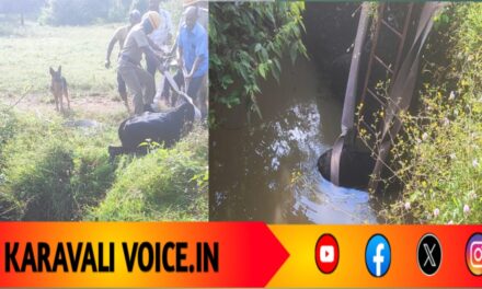 ಅಗ್ನಿಶಾಮಕ ತಂಡದ ಸಾಹಸ: 50 ಅಡಿ ಆಳದ ಬಾವಿಯಿಂದ  ಎದ್ದುಬಂತು ಎತ್ತು!