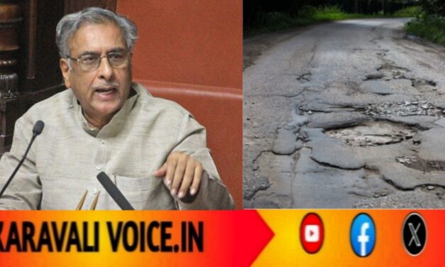 ಹೊಂಡದ ಹೊಡೆತದಿಂದ ಹೊರಟ್ಟಿಗೆ ಪೆಟ್ಟು – ಪ್ರಾಣಾಪಾಯದಿಂದ ಪಾರು!