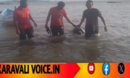 ಚಿಪ್ಪಿಕಲ್ಲು ಆರಿಸಲು ಹೋದ ವ್ಯಕ್ತಿ ಅಲೆಗಳ ಅಬ್ಬರಕ್ಕೆ ಬಲಿ!