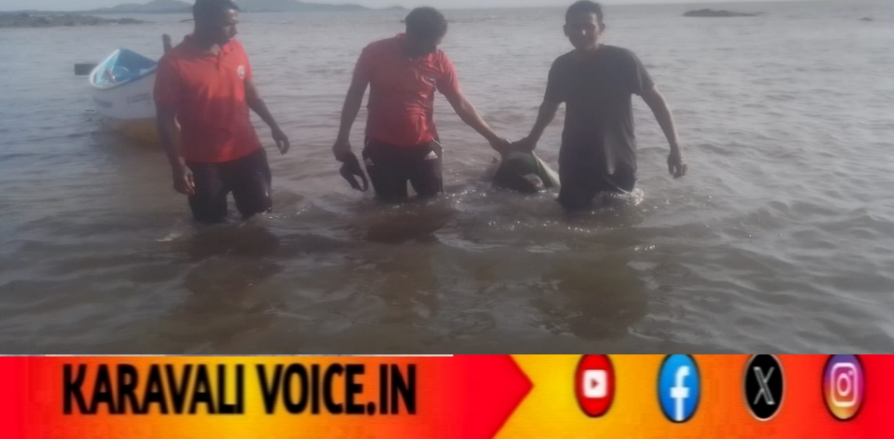 ಚಿಪ್ಪಿಕಲ್ಲು ಆರಿಸಲು ಹೋದ ವ್ಯಕ್ತಿ ಅಲೆಗಳ ಅಬ್ಬರಕ್ಕೆ ಬಲಿ!