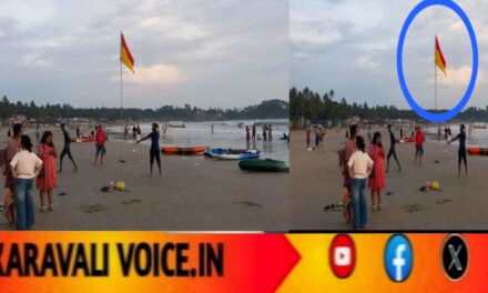 ಗೋವಾದ ಬೀಚ್ ನಲ್ಲಿ ಕನ್ನಡ ಬಾವುಟ? ಕನ್ನಡಿಗರು ಶಾಕ್!