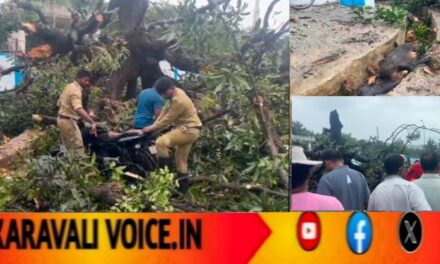 ಟ್ರೀ ಪ್ರಾಬ್ಲೆಮ್ಮು: ಬೃಹತ್ ಮಾವಿನ ಮರ ಉರುಳಿ 8 ಬೈಕ್ ಜಖಂ, ಆಕಳು ಸಾವು