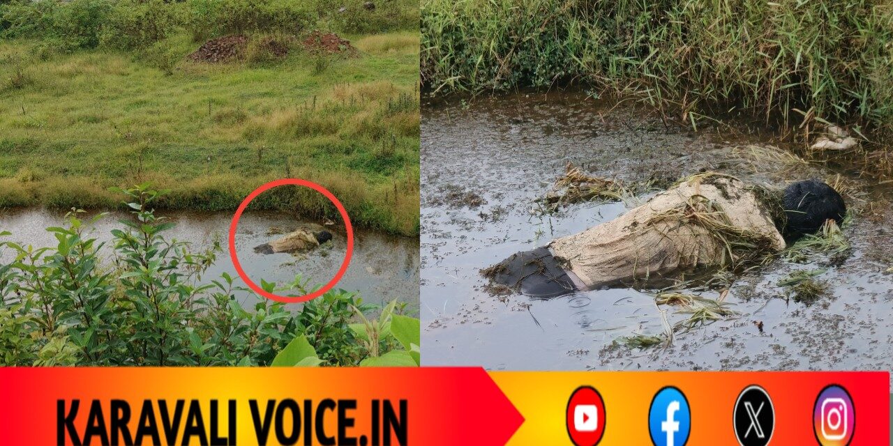 ಗದ್ದೆಯ ಕೆಸರಿನಲ್ಲಿ ಪತ್ತೆಯಾಯ್ತು ಮಾಜಿ ಸೈನಿಕನ ಶವ!