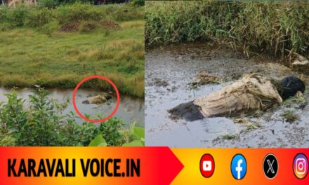 ಗದ್ದೆಯ ಕೆಸರಿನಲ್ಲಿ ಪತ್ತೆಯಾಯ್ತು ಮಾಜಿ ಸೈನಿಕನ ಶವ!