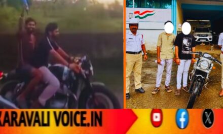 ದೀಪಾವಳಿ ಸ್ಟಂಟ್: ಬೈಕ್ ನಲ್ಲಿ ಪಟಾಕಿ ಸಿಡಿಸಿ ಪೊಲೀಸ್ ವಶವಾದ ಯುವಕರು!