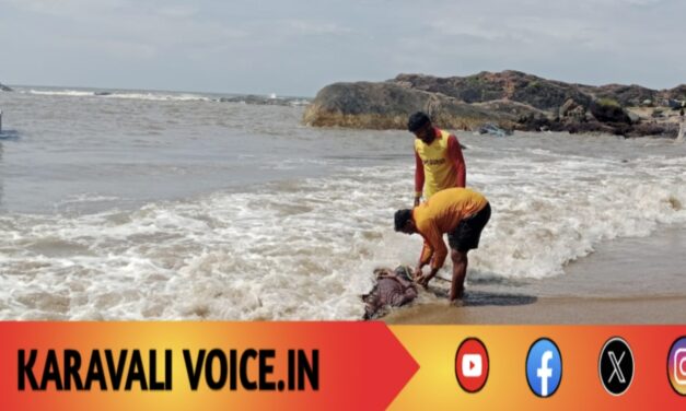 ಗೋಕರ್ಣದಲ್ಲಿ ಸೆಲ್ಪಿ ಕ್ರೇಜಿಗೆ ಮತ್ತೊಂದು ಬಲಿ: ಕಾಲು ಜಾರಿ ನೀರಿಗೆ ಬಿದ್ದ ಆಟೋ ಚಾಲಕ ಸಾವು