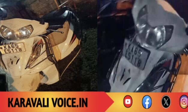 ಸ್ಕೂಟಿ ಎಮ್ಮೆಗೆ ಡಿಕ್ಕಿ: ಸವಾರ ಸ್ಥಳದಲ್ಲೇ ಸಾವು