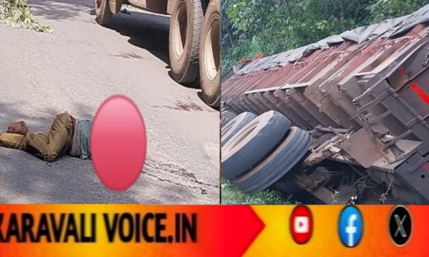 ಮರಣದಿಂದ ಪಾರಾಗಲು ರಸ್ತೆಗೆ ಹಾರಿದ ಚಾಲಕ ಸಾವು! 