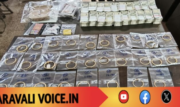 ಗೋಲ್ಡನ್ ಸೂಟ್ಕೇಸ್: ಸ್ವೀಟ್ ಬಾಕ್ಸ್‌ನಲ್ಲಿ ಸಿಹಿ ಅಲ್ಲ, ಚಿನ್ನ-ಹಣದ ಸೀಕ್ರೆಟ್ ಮಿಷನ್!