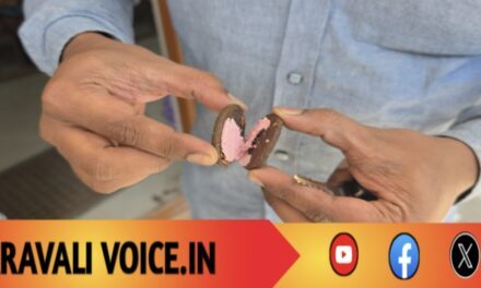 ಟಿಫಿನ್ ಬಾಕ್ಸ್‌ನಲ್ಲಿತ್ತು ಕ್ರೀಮ್ ಬಿಸ್ಕೆಟ್‌, ಕ್ರೀಮ್ ಬಿಸ್ಕೆಟ್‌ ನಲ್ಲಿತ್ತು ಕ್ರಿಮಿ! 