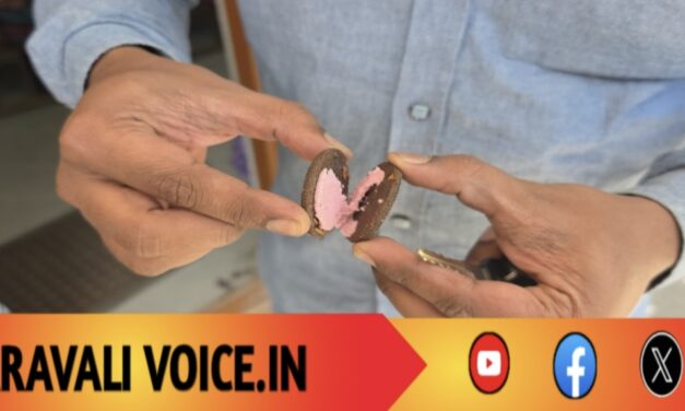 ಟಿಫಿನ್ ಬಾಕ್ಸ್‌ನಲ್ಲಿತ್ತು ಕ್ರೀಮ್ ಬಿಸ್ಕೆಟ್‌, ಕ್ರೀಮ್ ಬಿಸ್ಕೆಟ್‌ ನಲ್ಲಿತ್ತು ಕ್ರಿಮಿ! 