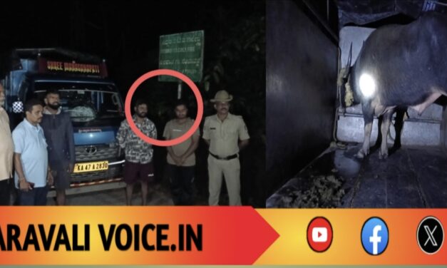 ರಾತ್ರಿ ಕೋಣ ಕಳ್ಳರ ಪ್ಲಾನ್ ಭಂಗ: ಪಲಾಯನಕ್ಕೆ ಪ್ರಯತ್ನಿಸಿದ ಆರೋಪಿ ಆಸ್ಪತ್ರೆ ನಾಟಕ ಬಯಲು!