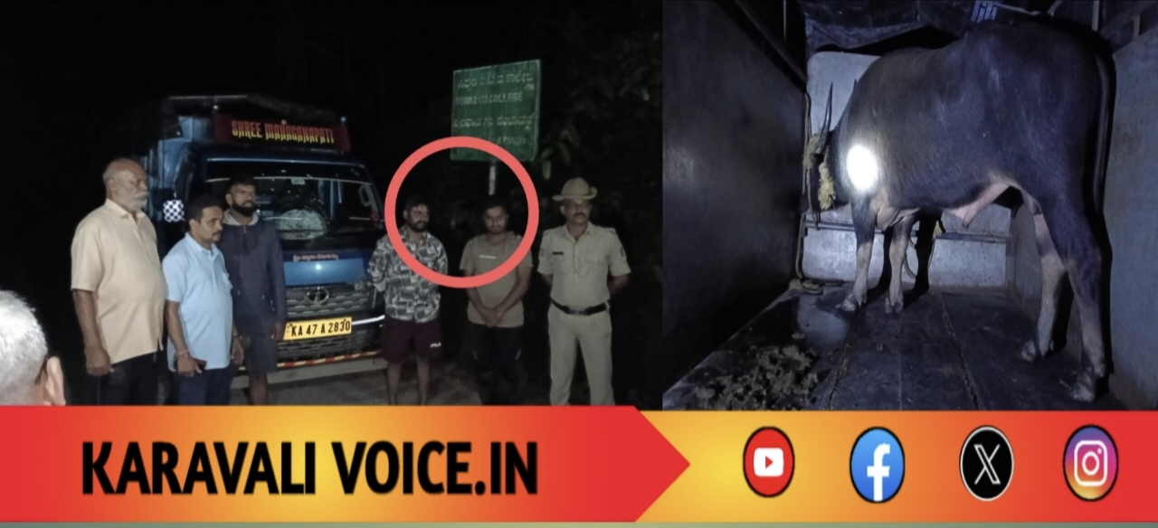 ರಾತ್ರಿ ಕೋಣ ಕಳ್ಳರ ಪ್ಲಾನ್ ಭಂಗ: ಪಲಾಯನಕ್ಕೆ ಪ್ರಯತ್ನಿಸಿದ ಆರೋಪಿ ಆಸ್ಪತ್ರೆ ನಾಟಕ ಬಯಲು!