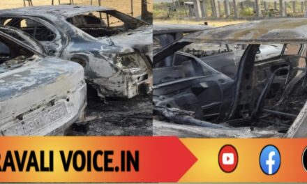 ಪಾರ್ಕಿಂಗ್‌ನಲ್ಲೇ ಅಂತ್ಯ: ಕಾರು–ಆಟೋಗೆ ಬೆಂಕಿ ಶಿಕ್ಷೆ!