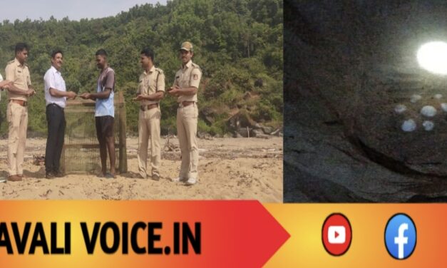 ಕಡಲಾಮೆ ಮೊಟ್ಟೆ ಗೂಡು ಪತ್ತೆ ಮಾಡಿದ ಮೀನುಗಾರನಿಗೆ ಸಿಕ್ತು ವಿಶೇಷ ಬಹುಮಾನ! 