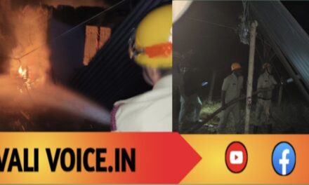 ಬೆಂಕಿ ಅವಘಡ: ವೃದ್ಧ ಮಹಿಳೆ ಬದುಕಿದ್ದೆ ಪವಾಡ! 