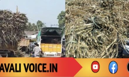 ಕಬ್ಬು ತುಂಬಿದ ಟ್ರಾಕ್ಟರ್ ಟ್ರೈಲರ್ ಪಲ್ಟಿ: ಬೈಕ್ ಸವರಾರು ಜಸ್ಟ್ ಮಿಸ್!