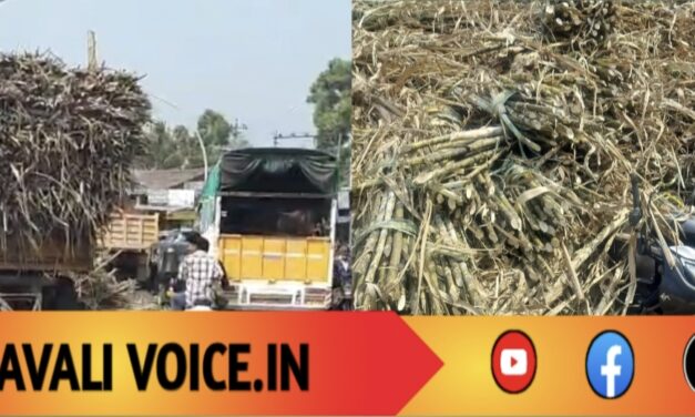 ಕಬ್ಬು ತುಂಬಿದ ಟ್ರಾಕ್ಟರ್ ಟ್ರೈಲರ್ ಪಲ್ಟಿ: ಬೈಕ್ ಸವರಾರು ಜಸ್ಟ್ ಮಿಸ್!