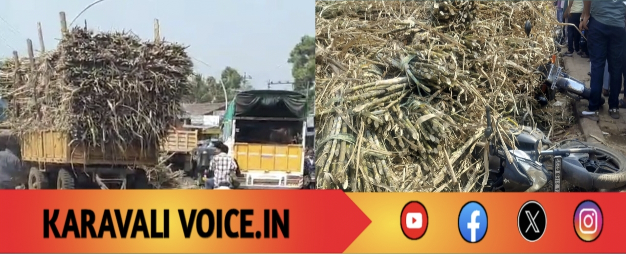 ಕಬ್ಬು ತುಂಬಿದ ಟ್ರಾಕ್ಟರ್ ಟ್ರೈಲರ್ ಪಲ್ಟಿ: ಬೈಕ್ ಸವರಾರು ಜಸ್ಟ್ ಮಿಸ್!