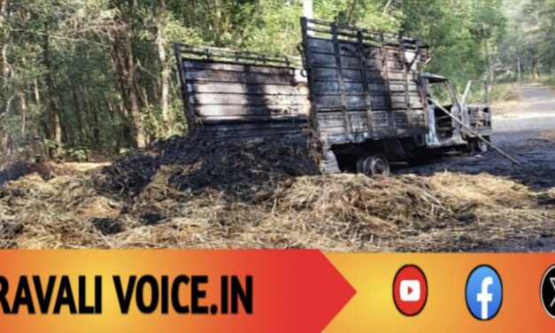 ವಿದ್ಯುತ್ ಕಂಬಕ್ಕೆ ಮುತ್ತಿಕ್ಕಿದ ಹುಲ್ಲು ತುಂಬಿದ ಬುಲೆರೋ ಬೆಂಕಿಗಾಹುತಿ!