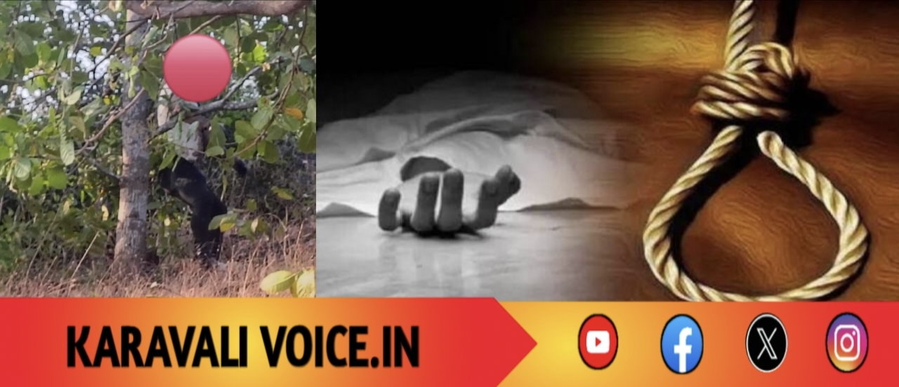 ಕೊಳೆತ ಸ್ಥಿತಿಯಲ್ಲಿ ಯುವಕನ ಶವ ಪತ್ತೆ: ಆತ್ಮಹತ್ಯೆ?