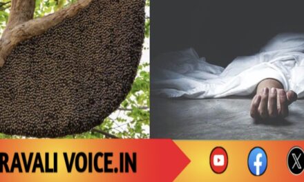 ಶಾಲೆಯ ಹಿಂಭಾಗದಲ್ಲೇ ದುರ್ಘಟನೆ: ಜೇನುಹುಳ ದಾಳಿಗೆ ಜೀವ ಬಲಿ