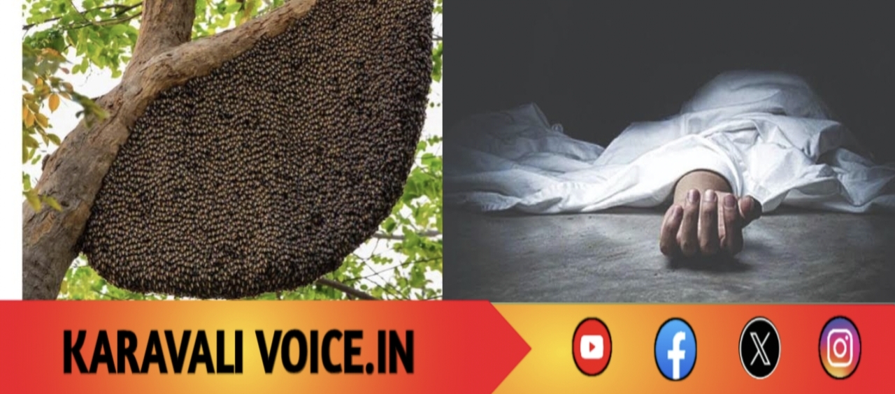 ಶಾಲೆಯ ಹಿಂಭಾಗದಲ್ಲೇ ದುರ್ಘಟನೆ: ಜೇನುಹುಳ ದಾಳಿಗೆ ಜೀವ ಬಲಿ