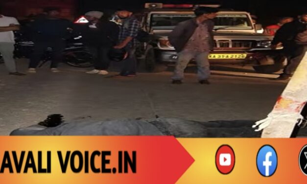 ಬೈಕ್ ಪಲ್ಟಿ: ಯುವಕ ಸ್ಥಳದಲ್ಲೇ ಸಾವು, ಮತ್ತೋರ್ವ ಗಂಭೀರ