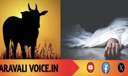 ಹೋರಿಯ ಅಟ್ಟಹಾಸಕ್ಕೆ ಬಲಿಯಾಯಿತು ಬಡಜೀವ! 