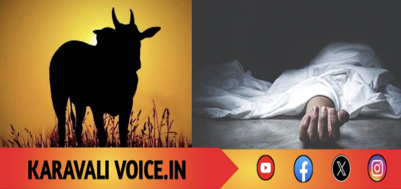 ಹೋರಿಯ ಅಟ್ಟಹಾಸಕ್ಕೆ ಬಲಿಯಾಯಿತು ಬಡಜೀವ! 