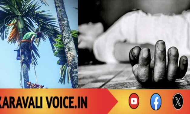 ಕೊನೆ ಕೊಯ್ಯಲು ಹತ್ತಿದವನಿಗೆ ಅದೇ ಕೊನೆ ದಿನ!