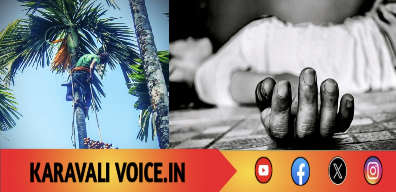 ಕೊನೆ ಕೊಯ್ಯಲು ಹತ್ತಿದವನಿಗೆ ಅದೇ ಕೊನೆ ದಿನ!