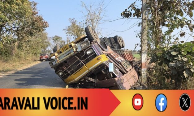 ಹೊಲಕ್ಕೆ ಉರುಳಿದ ನೀಲಗಿರಿ ಕಟ್ಟಿಗೆ ತುಂಬಿದ ಲಾರಿ! 