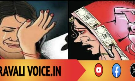 ವಯಾಗ್ರಾ ಸೇವಿಸಿ ಕಿರುಕುಳ ನೀಡಿದ ಪತಿ: ಬೇಸತ್ತ ಪತ್ನಿಯಿಂದ ಕೊಲೆ