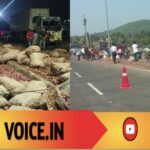 ಮುಗುಚಿ ಬಿದ್ದ ಲಾರಿ: ಈರುಳ್ಳಿ ತುಂಬಲು ಮುಗಿಬಿದ್ದ ಜನ