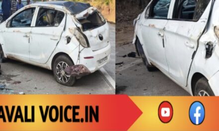 ಪಲ್ಟಿ ಹೊಡೆದ ಕಾರು: 10 ವರ್ಷದ ಬಾಲಕ ಸ್ಥಳದಲ್ಲೇ ದುರ್ಮರಣ