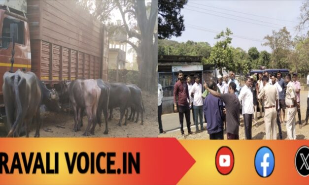 ಪರವಾನಗಿ ಮರೆತು ಹೊರಟ ಎಮ್ಮೆ ಯಾತ್ರೆ: ಆರು ಮಂದಿ ಬಂಧನ