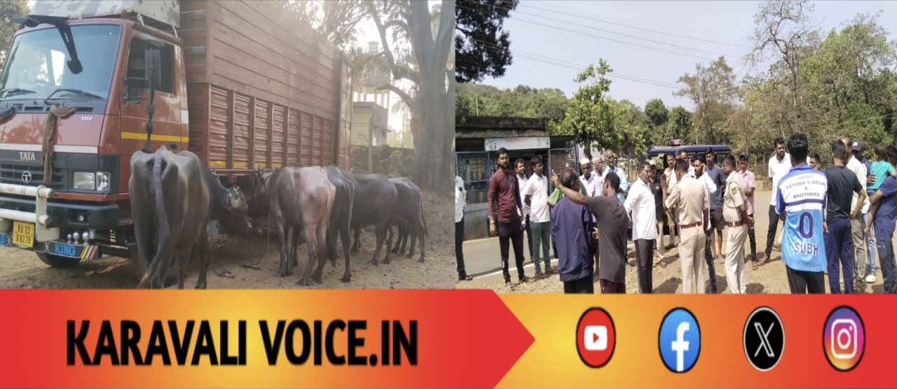 ಪರವಾನಗಿ ಮರೆತು ಹೊರಟ ಎಮ್ಮೆ ಯಾತ್ರೆ: ಆರು ಮಂದಿ ಬಂಧನ