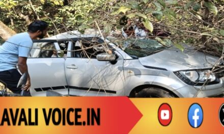 ರಸ್ತೆ ತಪ್ಪಿತು, ಮರ ಎದುರಾಯಿತು: ಮಹಿಳೆ ಜೀವ ಹಾರಿ ಹೋಯಿತು! 