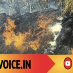 ಒಂದು ಕಿಡಿ, ಲಕ್ಷಾಂತರ ನಷ್ಟ: ಕೆರೆ ಬಳಿಯ ಗದ್ದೆಯಲಿ ಅಗ್ನಿಕಾಂಡ