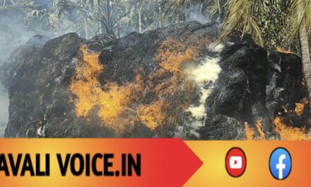 ಒಂದು ಕಿಡಿ, ಲಕ್ಷಾಂತರ ನಷ್ಟ: ಕೆರೆ ಬಳಿಯ ಗದ್ದೆಯಲಿ ಅಗ್ನಿಕಾಂಡ